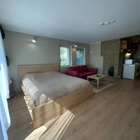 Kastani In Center - With Sauna Holiday home *