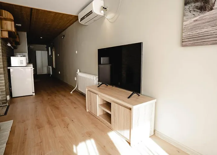 Kastani In Center - With Sauna Tatil Evi Tartu